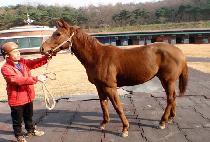 �谨���� (KWAEGAMHAENGJIN) ����