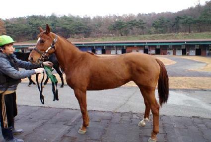 ������ ����