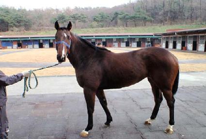 ȭ���Ѽ��� ����