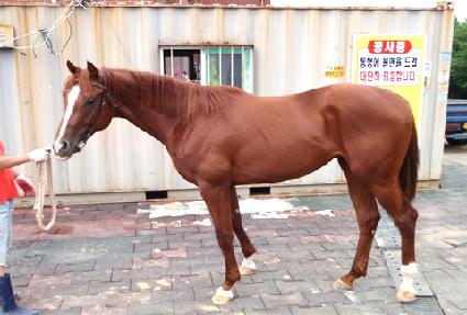 ��è�� ����