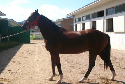 �Ľ����� ����