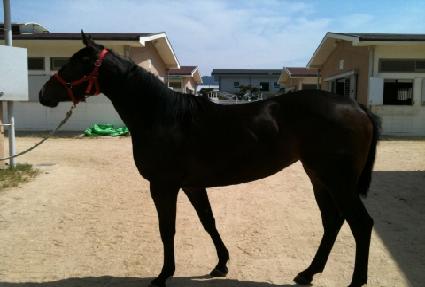 �극�̺����� ����