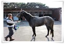 ������ (DINGDONGDAENG) ����