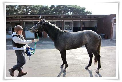 ������ ����