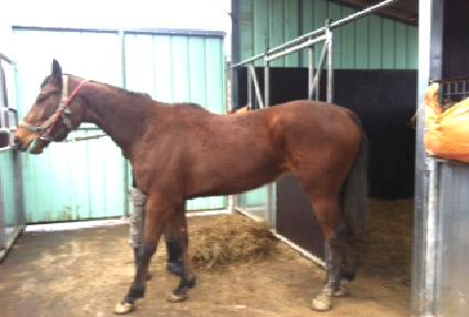 �ܼճ� ����