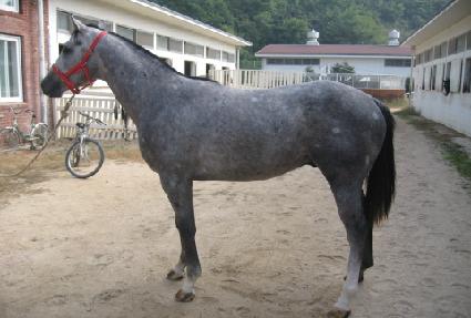 ����Ǻ� ����