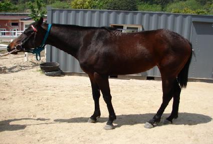 �̸����� ����