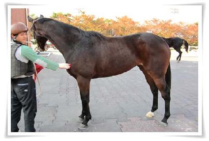 �ֿ�û ����