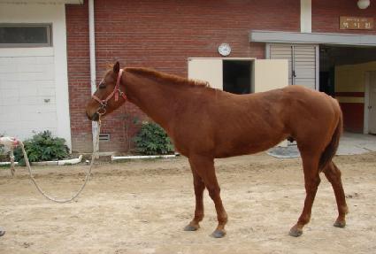 ���� ����