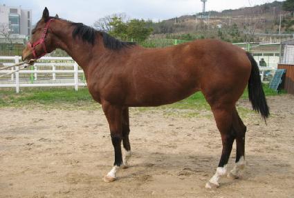 ��������̵� ����