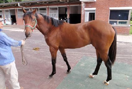 �������� ����