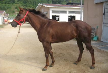 �̷��Ǻ� ����