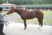 �������� (SEONBONGGANGJA) ����