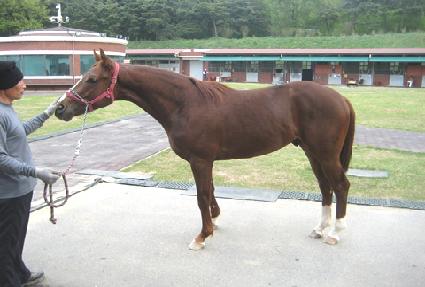 �������� ����