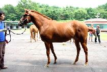 �����÷��� (SEONBONG PLUS) ����