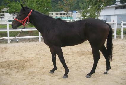 �Ѷ󿩽� ����