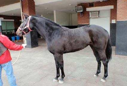 ��ġ�ͺ� ����