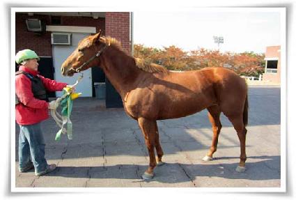 ��ȭ�� ����