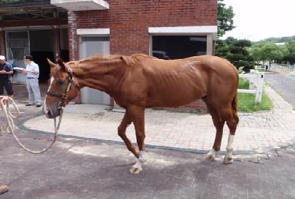 �п�Ű������ ����