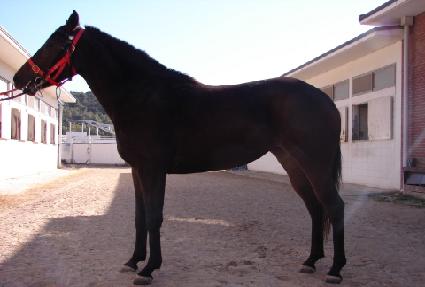 ���׸� ����