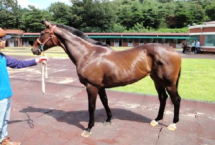 �ſ����� ����