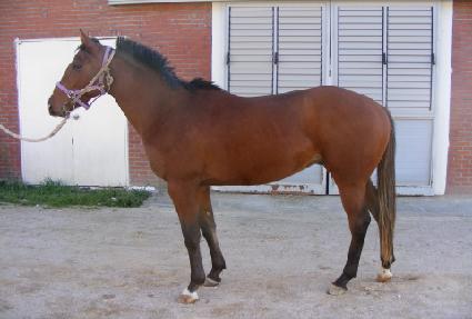 �ѿ��� ����