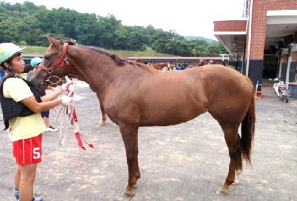 ����Ŭ�ι� ����