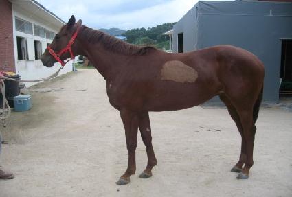 �����ũ ����