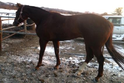 �ѹٴ� ����