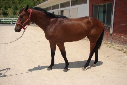 ������ ����