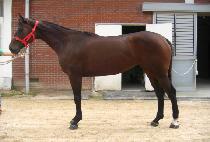 õ����ȭ (CHEONSANG JIHWA) ����