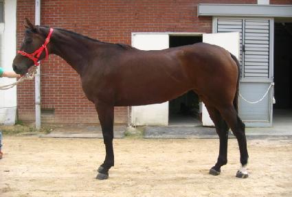 õ����ȭ ����