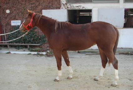 ���鼱 ����