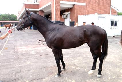 ���ѰǾ� ����