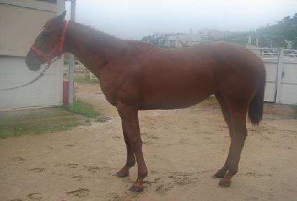 ��õ��� ����