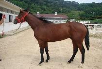 �������� (YEONGUNG JEONSEOL) ����