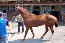 ����Ʈ���� (PERFECT LOVE) ����