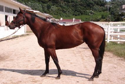 Ų�� ����