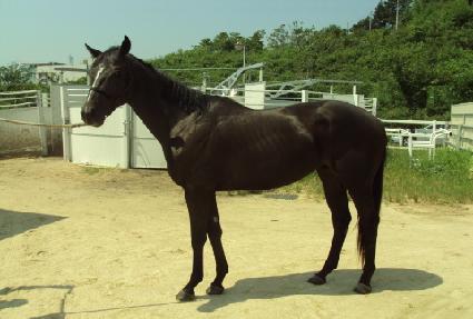 ����ô� ����