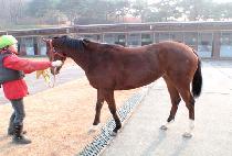 �ͼ��ų� (EXCEPTIONAL) ����