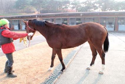 �ͼ��ų� ����