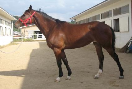 �ְ����̽� ����