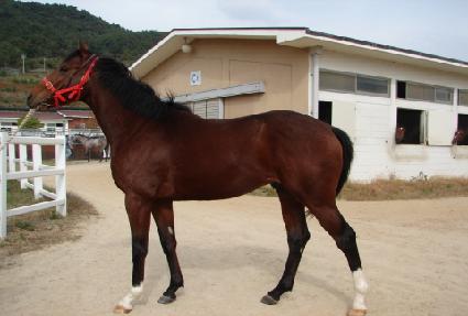 �����ǿ��� ����