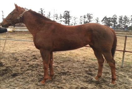 ����ϼҸ� ����