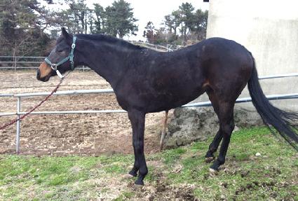 ����Ÿ ����