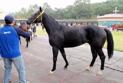 ��Ʈ�� ����