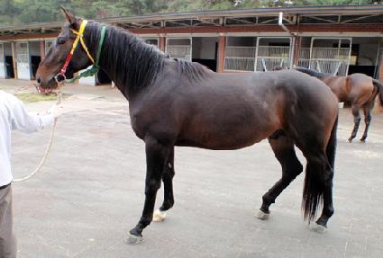 �������� ����