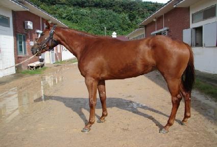 �̽��� ����