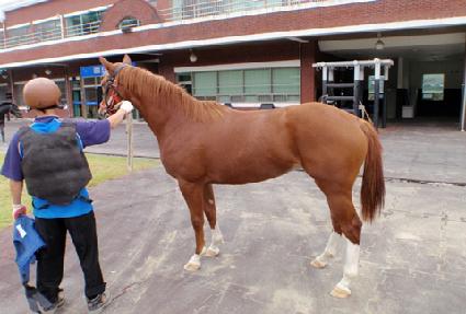 ������������ ����