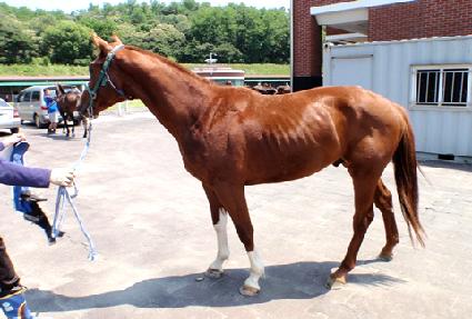 ���̿����� ����